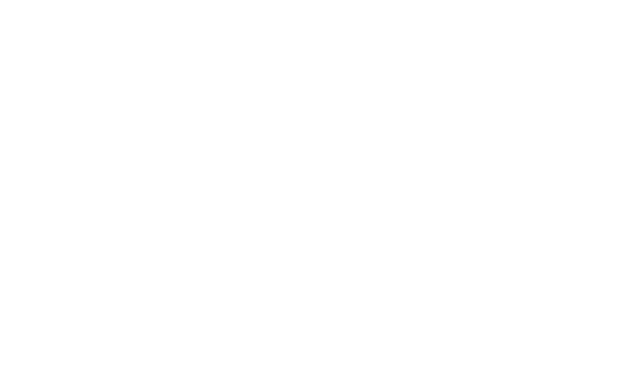 ViraStudio